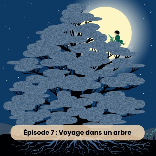 Lou sous les étoiles – Image 9