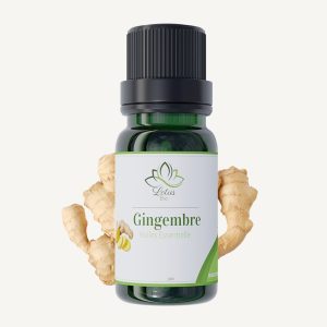 Huile essentielle de gingembre