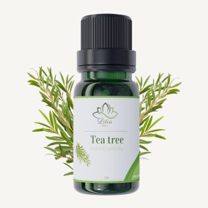 Huile essentielle de tea tree
