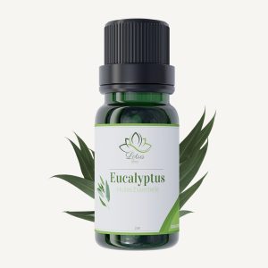 Huile essentielle d&rsquo;eucalyptus Globulus