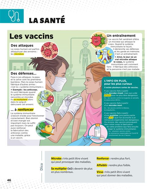Le Petit Quotidien – L’encyclopédie visuelle – Corps humain. – Image 5