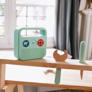Forfait réparation hors garantie pour une enceinte Merlin
