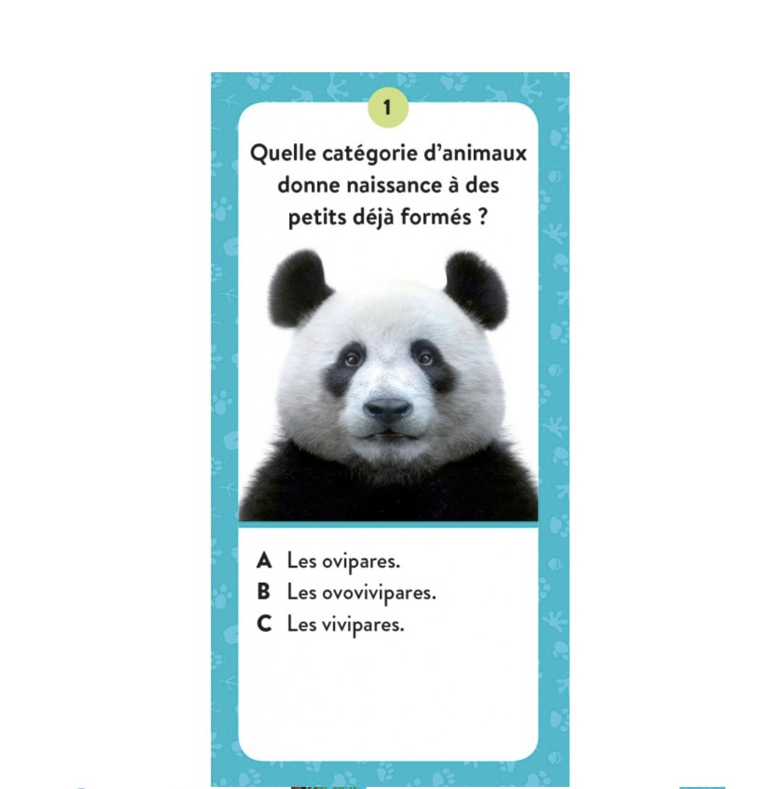 Le coffret méga atlas des Animaux. – Image 2