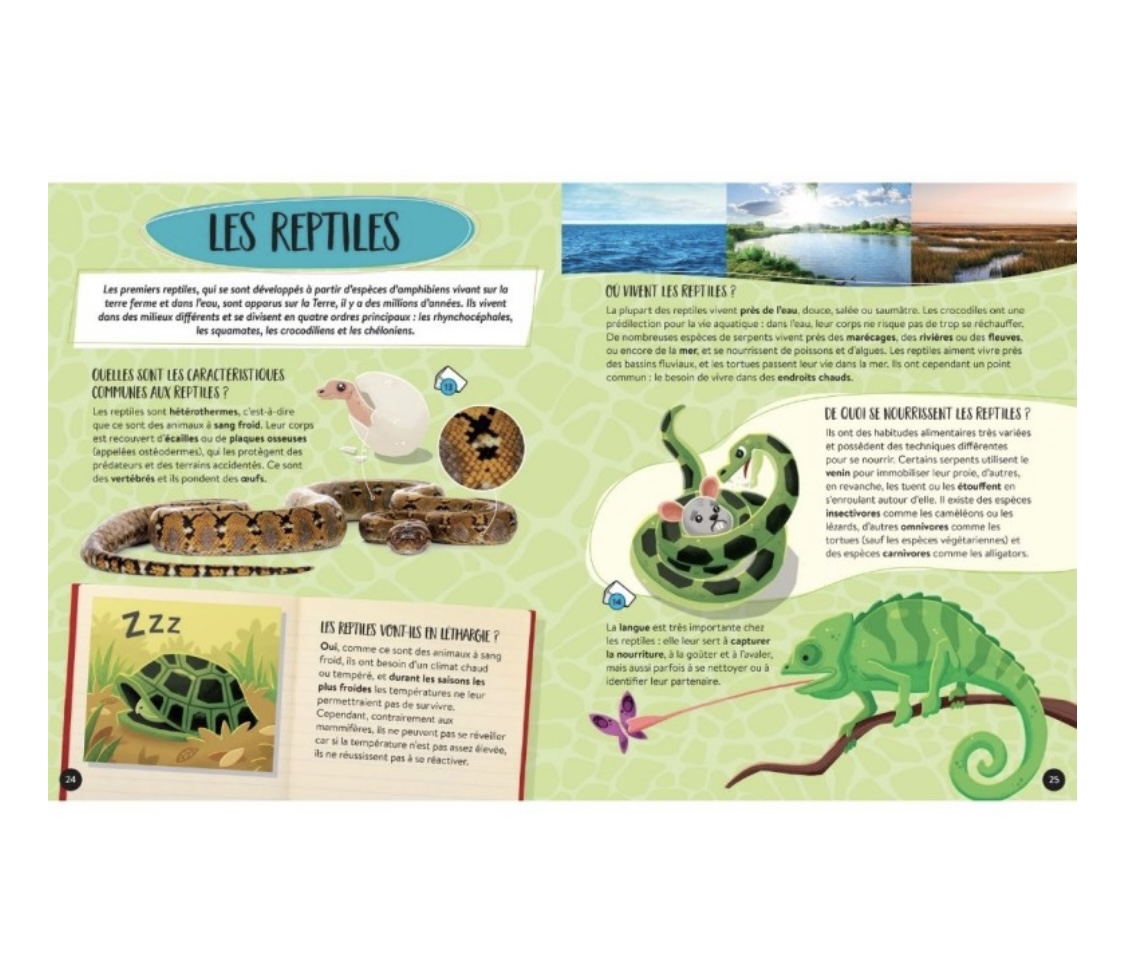 Le coffret méga atlas des Animaux. – Image 5