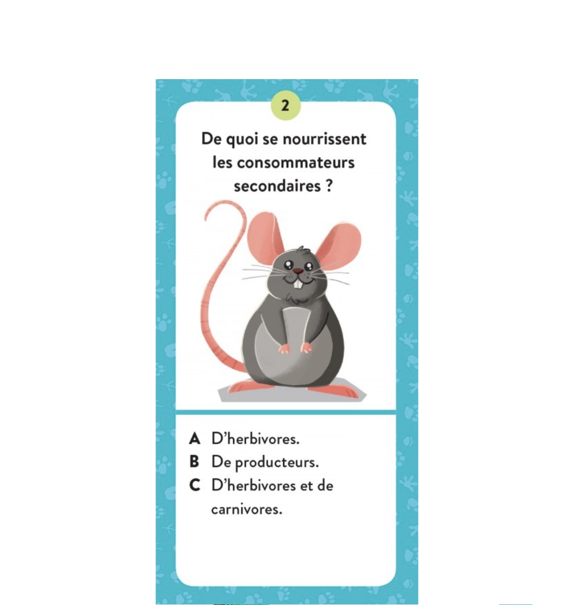 Le coffret méga atlas des Animaux. – Image 6