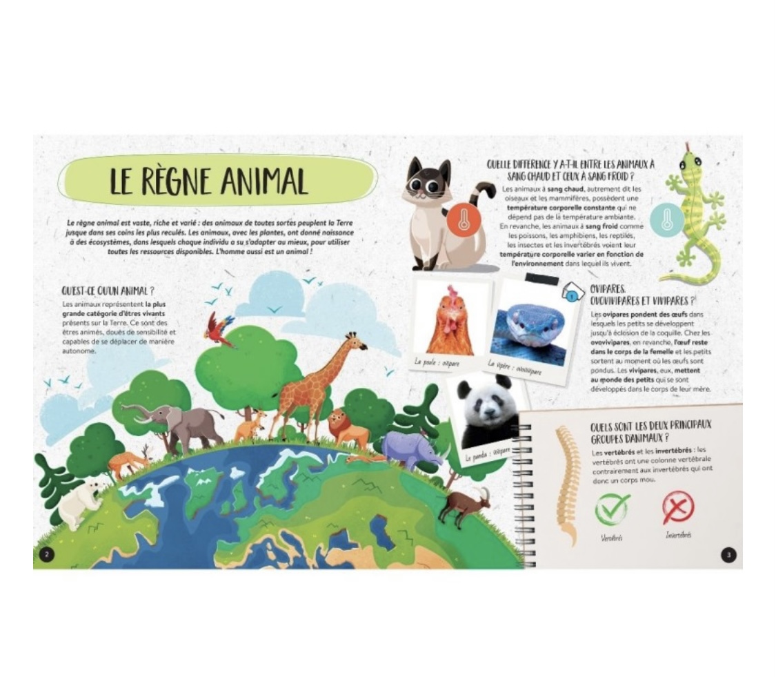 Le coffret méga atlas des Animaux. – Image 7