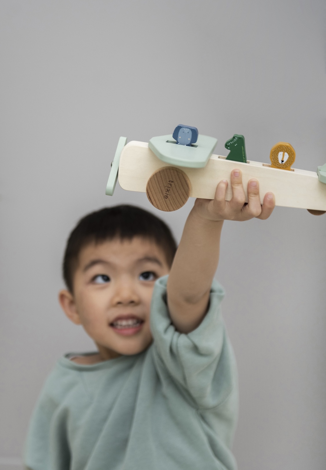 Avion en bois avec animaux. – Image 3