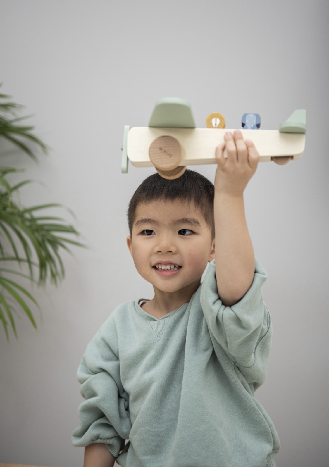 Avion en bois avec animaux. – Image 4