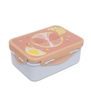 Boîte à tartines papillon fruité.