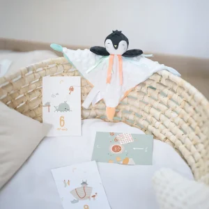 Coffret naissance-doux souvenirs