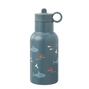 Fresk la gourde Shark.