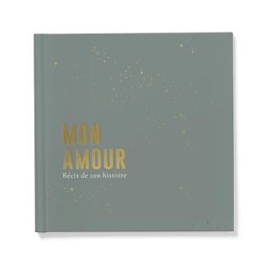 Livre de naissance céleste « brume ».