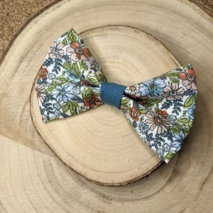 Nœud papillon délicieux pour animal de compagnie