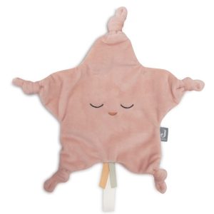 Attache tétine Jollein Star Wild Rose.