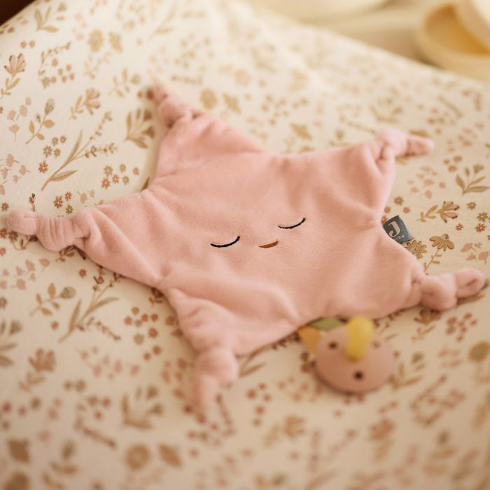 Attache tétine Jollein Star Wild Rose. – Image 2