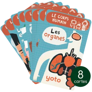 Yoto Cartes (8) Explorobots : Le corps humain.